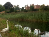 Swan & Castle, Essex 2005