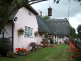 Thatched Pink Cottage, Little Baddow 2005 