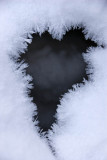 B-Assigned-Heart of Snow.jpg