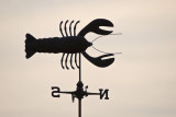 Lobster, Salisbury MA