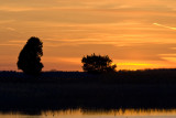 Sunset over Plum Island