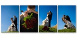 Jen & Steve's Sunny Autumn Wedding Album