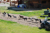 Fairbanks 08.jpg