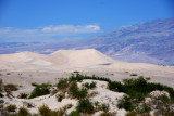 Sand Dunes 02.jpg
