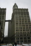 IMG_3653p.jpg