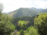In the hills near Opononi