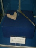 Instruments in museum