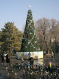 Christmas/New Year tree at Zhenkov Cathedral