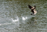 3/20/2010  Taking off