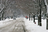Snow doesnt obey traffic signs IMG_2050.jpg