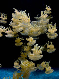 Crowded_MG_2190.jpg