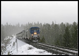 Amtrak at Mowich
