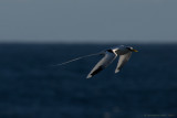 image 124877053