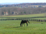 Sunday morning in spring