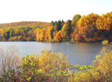 autumn falls upon the lake