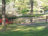 springtime fence