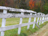 white fence