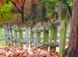 fence in fall