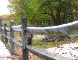 frozen fence