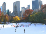 wolman rink and beyond