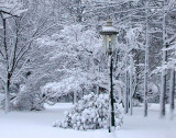  a winter wonderland