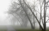 Thursday morning fog