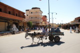 DSC_0067.JPG