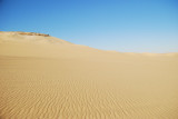 DSC_0213.JPG
