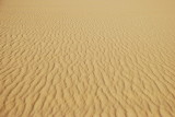 DSC_0214.JPG
