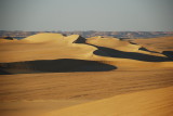 DSC_0246.JPG