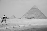 DSC_0322.JPG