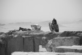 DSC_0356.JPG