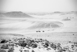 DSC_0370.JPG