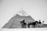 DSC_0419.JPG