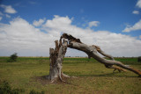 DSC_0720.JPG
