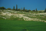 DSC_0917.JPG