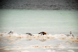 DSC_1144.JPG