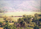 26.tif
