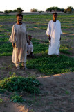 Farming the Nile
