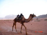 wadi4.jpg