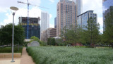 sDSC08050.JPG