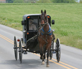 Amish 4