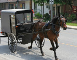 Amish 9