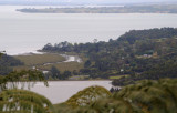 View South over Manukau Harbour