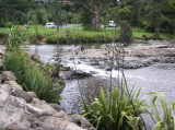 River Crossing