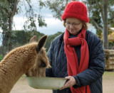 Frances and alpaca