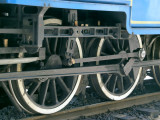 y1177133.jpg