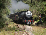 y1177151.jpg