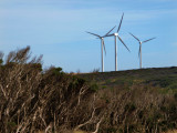 Wind Farm  3