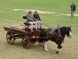 Big horse, four wheels
